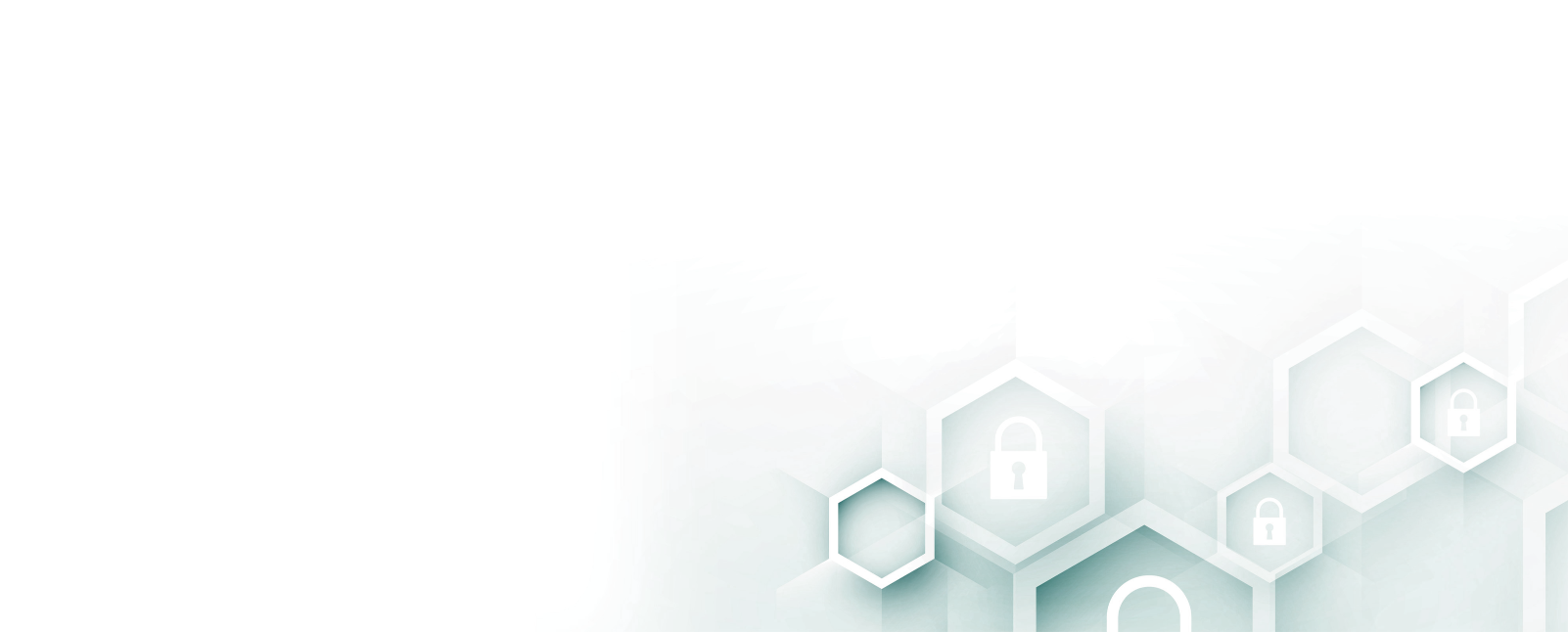 About the project About the project